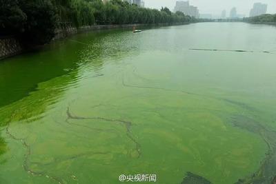 珍愛生命之水 聚焦水污染與治理，守護藍色家園